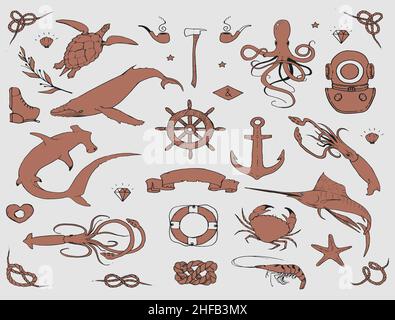 Sea collection, beautiful shapes Stock Vector