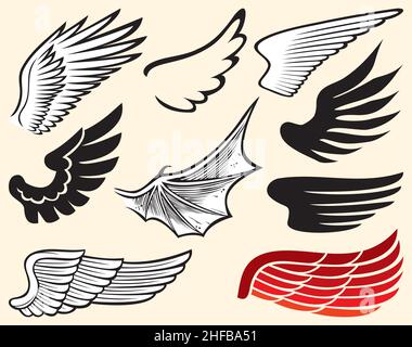 Wings collection vector illustration Stock Vector
