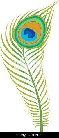 Peacock feather vector illustration Stock Vector