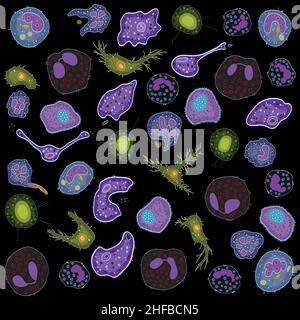 Set of innate immune system cells, vector illustration Stock Vector