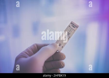 Closeup view of gloved hand with SARS-CoV-2 rapid antigen test nasal. Self test verifies positivity covid-19. Health, healthcare protection, contagion Stock Photo