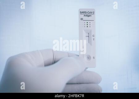 Closeup view of gloved hand with SARS-CoV-2 rapid antigen test nasal. Self test verifies positivity covid-19. Health, healthcare protection, contagion Stock Photo