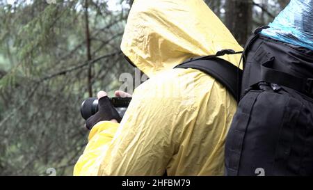 Side view of a youn man standing among trees and taking pictures of summer forest. Hiker in yellow jacket with a camera in his hands in the forest. Stock Photo