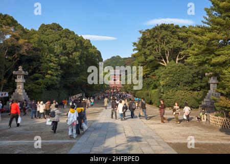 Kamakura, Japan – November 14, 2007: The approach to the Tsurugaoka Hachimangu Shinto shrine, a cultural center of the city of Kamakura. Kamakura. Jap Stock Photo