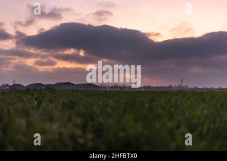 Looking across an arable farm at sunrise in West Sussex Stock Photo