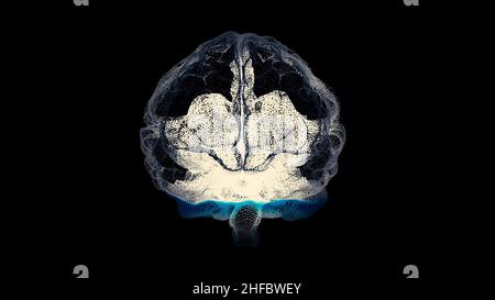 3d render xray style image of human brain rotating. Human brain being formed by revolving particles. Brain connect digital lines, expanding artificial Stock Photo
