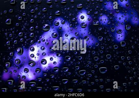 Blue flower with water drops. Blurred background. Stock Photo