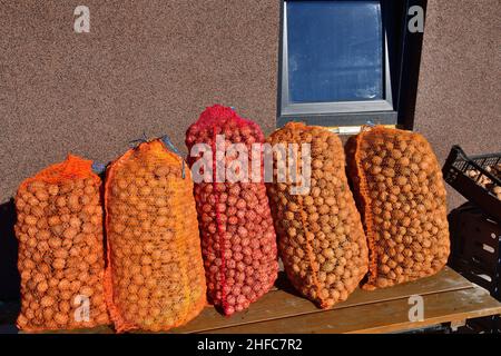 Fallen walnuts in autumn are harvested and dried for the winter eating Stock Photo