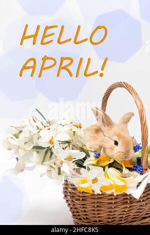 Welcome April text message with flowers border decoration on wooden ...