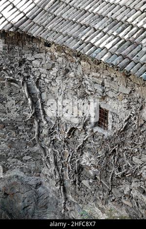 Architecture of Juval Museum in Juval Resort, South Tyrol, Italy, Europe Stock Photo