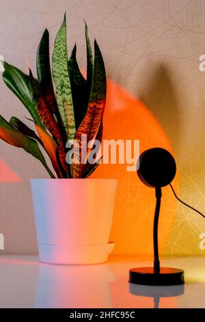 Sunset projector lamp on the table. Multi colored RGB light. Home decor. Selective focus Stock Photo