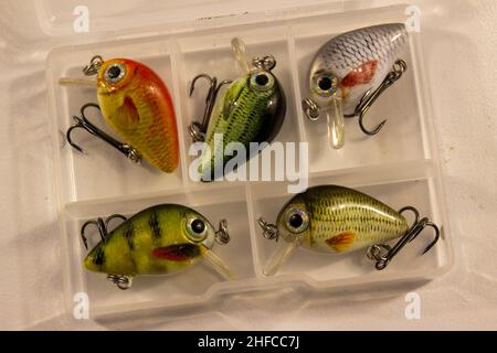 Box with small fishing wobblers. Stock Photo