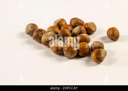 Bunch of hazelnuts isolated on white Stock Photo