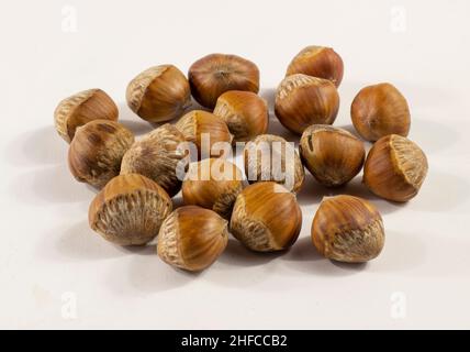 Bunch of hazelnuts isolated on white Stock Photo