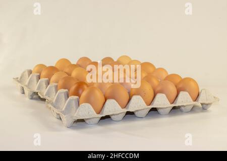 Chicken eggs in tray isolated on white. Stock Photo