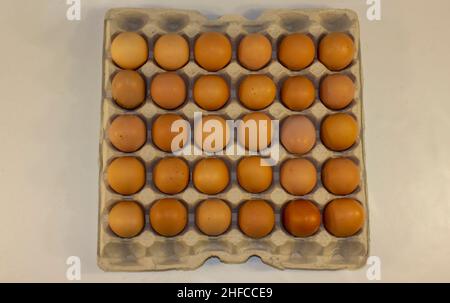 Chicken eggs in tray isolated on white. Stock Photo