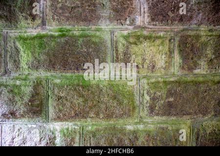 Stone wall with green moss. Stock Photo