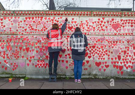 Volunteers paint red hearts on the National Covid Memorial Wall. Over 150,000 hearts have been painted to date on the wall outside St Thomas' Hospital opposite the Houses of Parliament, one for each life lost to COVID-19. (Photo by Vuk Valcic / SOPA Images/Sipa USA)