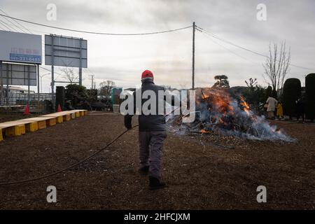 Volunteer controls the fire during Dondo-Yaki in Aobadai.Dondo-Yaki is a traditional event usually held in mid-January and is considered the end of New Year celebrations in Japan. During this event Shimekazari (lucky charms) which were used to attract the Gods to people's homes are burned in a Shinto ceremony called Oharai. It is performed to keep bad luck away from people. After the fire stops soaring, Dango (mochi rice cake) or sweet potatoes are roasted above the bonfire. The origin of Dondo-Yaki can be traced back to the Heian period when nobles burnt bamboo in their palaces after the New Stock Photo