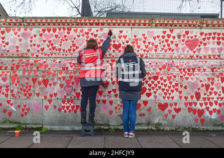 London, UK. 14th Jan, 2022. Volunteers paint red hearts on the National Covid Memorial Wall. Over 150,000 hearts have been painted to date on the wall outside St Thomas' Hospital opposite the Houses of Parliament, one for each life lost to COVID-19. Credit: SOPA Images Limited/Alamy Live News