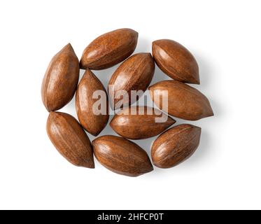 Unshelled pecan nuts isolated on a white background. Group of whole unpeeled pecans cutout. Macro of Carya illinoinensis tree fresh tasty fruits. Stock Photo