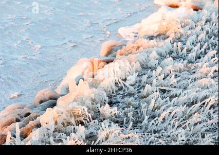 Ice covered grasses and rocks Stock Photo