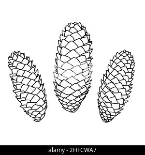 Contour drawing of pine cones isolated on a white background. Doodle style. Stock Vector