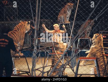 circa 1987, East Rutherford, NJ USA Gunther Gebel-Williams (September 12, 1934 – July 19, 2001) was an animal trainer for Ringling Bros. and Barnum & Bailey Circus from 1968-1990. Photo by Jim DeLillo/Alamy Stock Photo