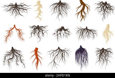 Plants roots systems, growing fibrous trees roots. Underground plants plants, trees branched root vector symbols set. Tree roots systems silhouettes Stock Vector