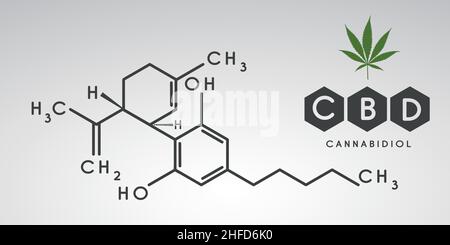 cbd formula. Cannabidiol molecule structure compound. Medical marijuana molecules, cannabidiol biochemistry formula. Chemistry addiction. Vector illus Stock Vector