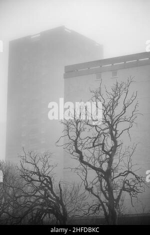 Tillydrone, Aberdeen in thick fog Stock Photo