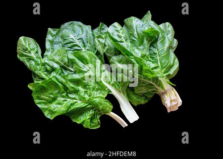 Balkan cuisine. Blitva ( chard leaves ) - popular leafy vegetables. Isolated on black Stock Photo