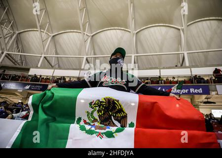 Mexican Flag - Bandera de mexico