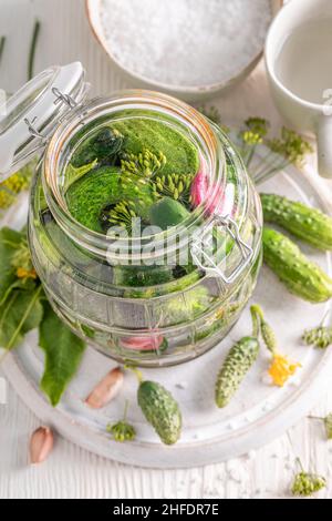 Homemade pickled cucumbers with dill, garlic and horseradish. Pickling cucumbers at home. Stock Photo