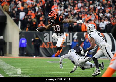 Saturday January 15, 2022: Cincinnati Bengals running back Joe