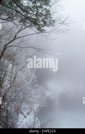 The upper drop of Kaaterskill Falls. Winter landscape with fresh snow and dense fog. Icicles hanging from the overhangs. Hoar frost on the trees. Stock Photo