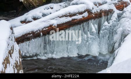 A fallen log in a frozen creek, with hanging icicle formations created by a trickling stream, under a fresh-snow coat. Spruce Creek, Kaaterskill Falls Stock Photo
