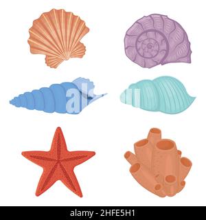 A set of colored seashells. Isolated vector illustration on a white background. Stock Vector