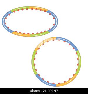 Fitness hoop for a slim figure, color isolated vector in flat style icon Stock Vector