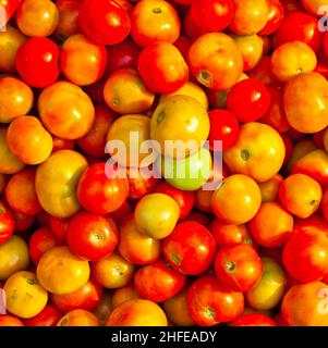 tomatoes at the market Stock Photo