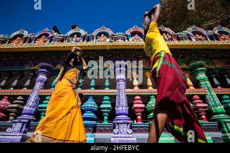 Kuala Lumpur, Malaysia. 16th Jan, 2022. Hindu devotees carry pots of milk on their head as they walk up to the Batu Caves Temple ahead of the festival celebrations.Thaipusam is a Hindu festival celebrated mostly by the Tamil community. Devotees will pray and make vows when the prayers are answered. Strict SOPs will be in force for this year's Thaipusam celebration which falls on January 18, due to the pandemic of Covid-19. Credit: SOPA Images Limited/Alamy Live News Stock Photo