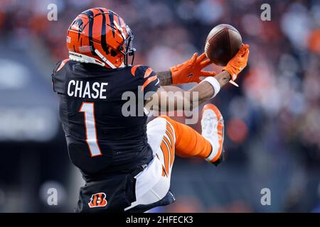 Cincinnati Bengals wide receiver Ja'Marr Chase (1) lines up for the snap  during an NFL football game against the Miami Dolphins on Thursday,  September 29, 2022, in Cincinnati. (AP Photo/Matt Patterson Stock