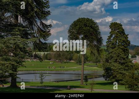 Alton Towers, Where the Magic Never Ends, Highest Quality Images of the Uk Best theme Park and Rollercoasters Stock Photo