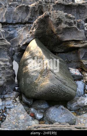 Green dolerite erratic carried on Irish Sea Glacier from Preseli to Mumbles c 19000 years ago. Stone such as this was used to construct Stonehenge. Stock Photo