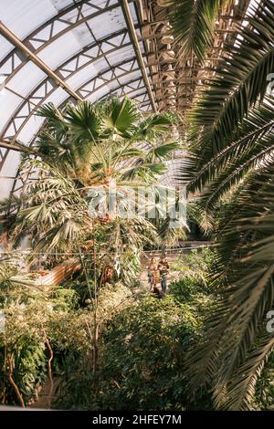 Greenhouse of the Tauride Garden. General view of the hall with people walking. Stock Photo