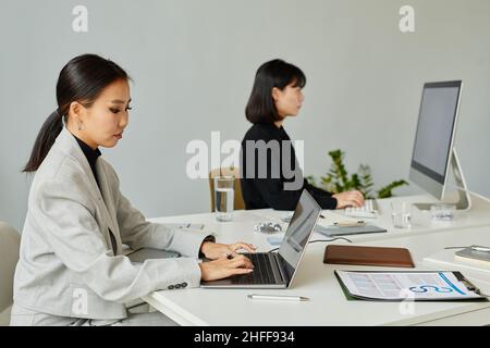 Minimal side view portrait of two young Asian women using computers in modern office, copy space Stock Photo