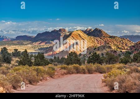 The Cockscomb rocks, House Rock Valley Road, rubber rabbitbush shrubs, near Coyote Buttes, Buckskin Gulch and Vermilion Cliffs Natl Monument, Utah USA Stock Photo