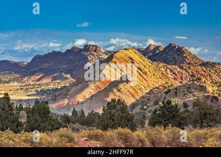 The Cockscomb rocks, House Rock Valley Road, rubber rabbitbush shrubs, near Coyote Buttes, Buckskin Gulch and Vermilion Cliffs Natl Monument, Utah USA Stock Photo