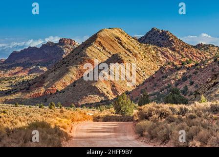 The Cockscomb rocks, House Rock Valley Road, rubber rabbitbush shrubs, near Coyote Buttes, Gulch Canyon and Vermilion Cliffs Natl Monument, Utah, USA Stock Photo