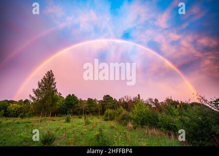 Rainbow over clearing in forest under vanilla sky Stock Photo